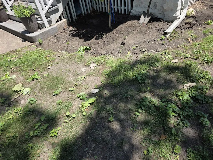 Bermudez Landscaping and snow removal Picture 2
