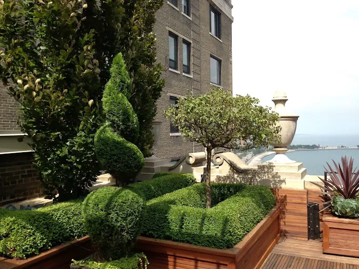 Botanical Concepts Chicago Picture 6