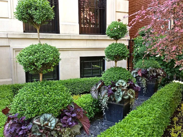 Botanical Concepts Chicago Picture 1