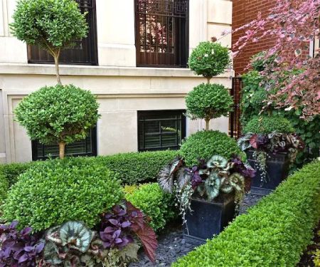 Botanical Concepts Chicago