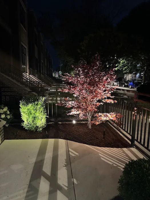 Botanical Concepts Chicago Picture 3