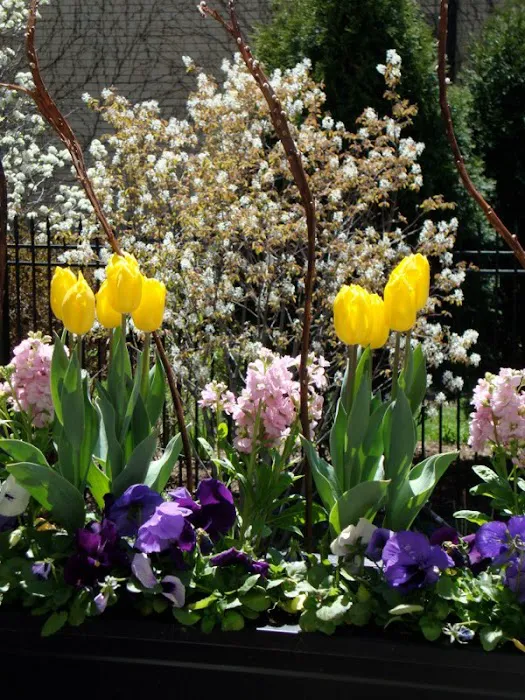 D.L. Moffett Gardens & Landscapes Picture 3