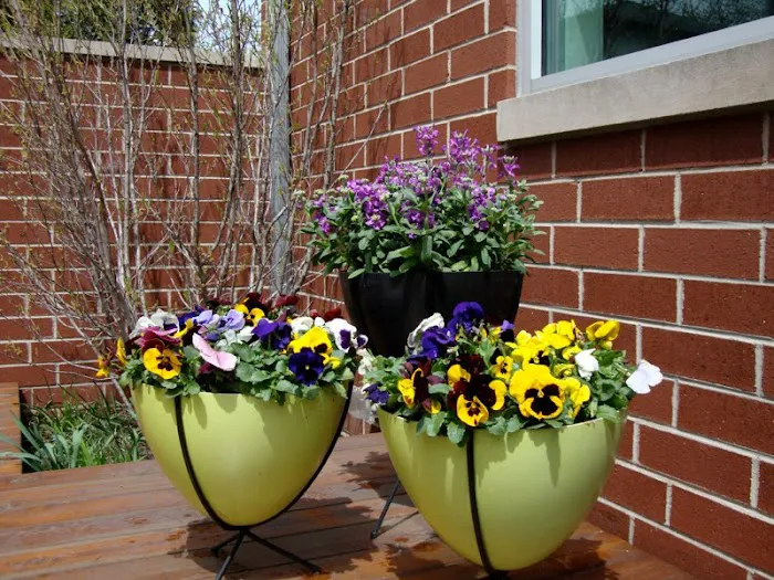 D.L. Moffett Gardens & Landscapes Picture 1