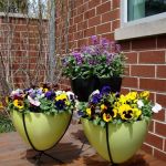 D.L. Moffett Gardens & Landscapes