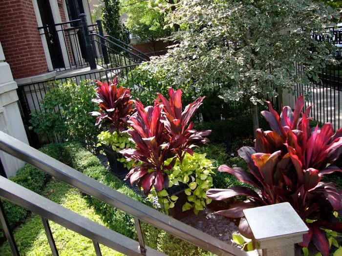 D.L. Moffett Gardens & Landscapes Picture 4