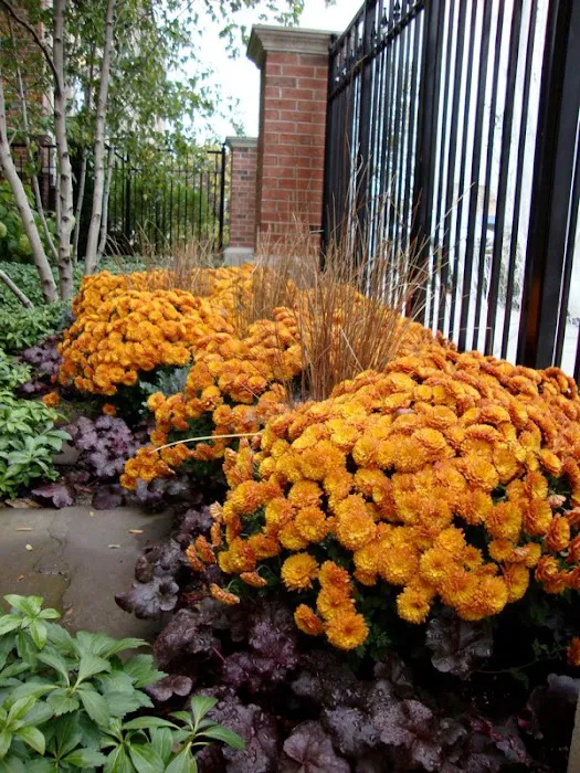 D.L. Moffett Gardens & Landscapes Picture 9