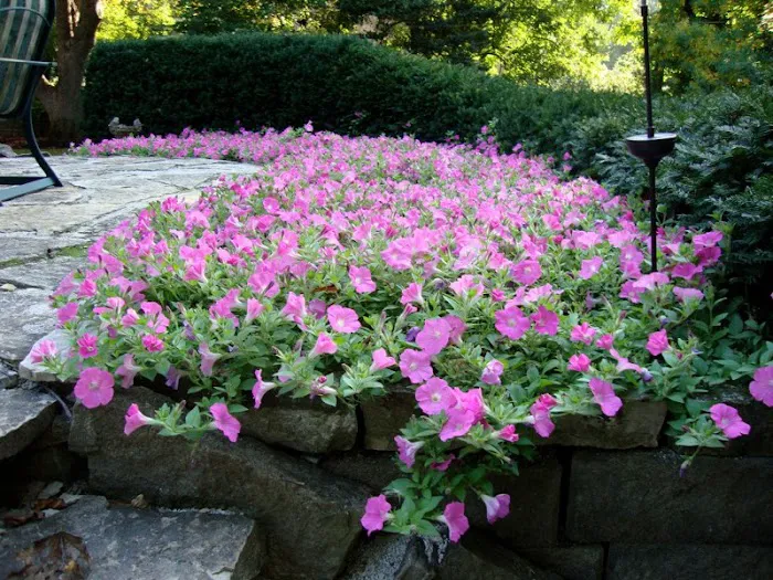 D.L. Moffett Gardens & Landscapes Picture 10
