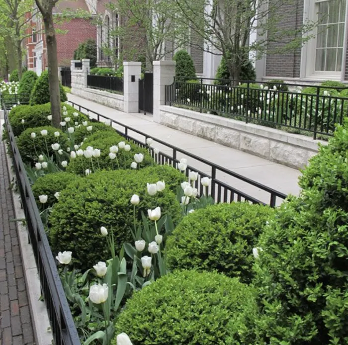Skyline Exteriors Landscaping Picture 4