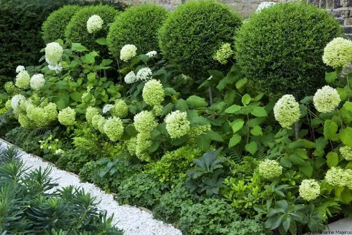 Skyline Exteriors Landscaping Picture 2