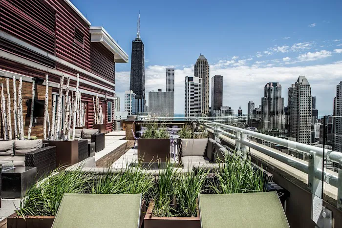 Chicago Roof Deck and Garden Picture 2