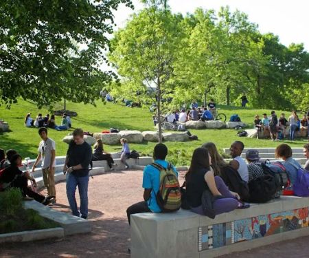 Culliton Quinn Landscape Architecture