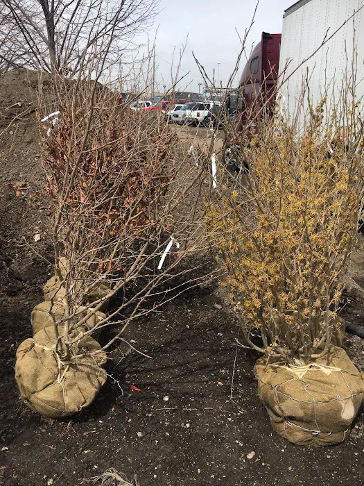 Fiore Nursery & Landscape Supply Picture 8