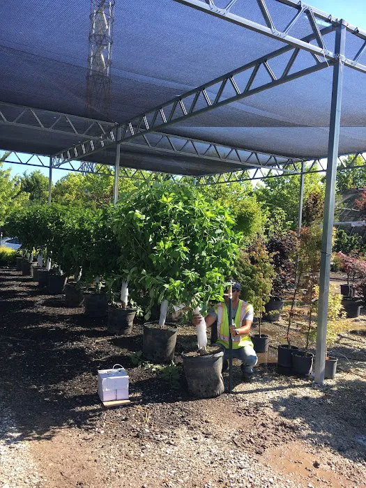 Fiore Nursery & Landscape Supply Picture 7