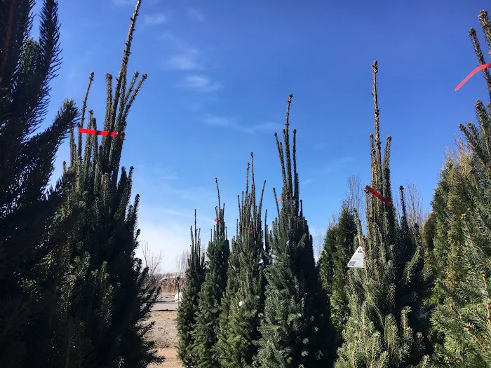 Fiore Nursery & Landscape Supply Picture 3