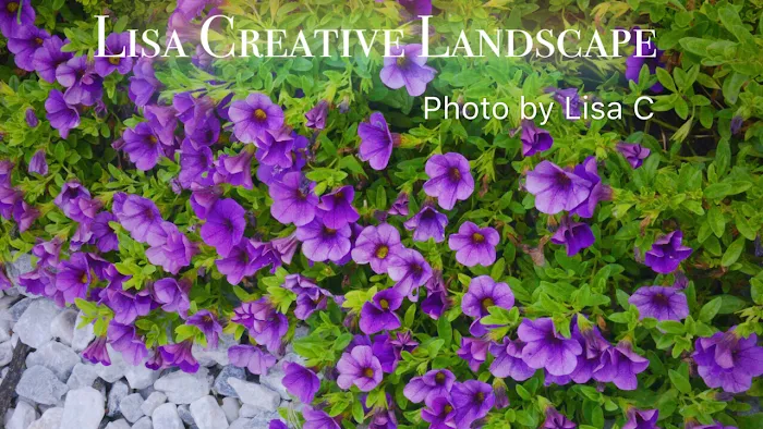 Lisa Creative Landscape LLC Picture 6