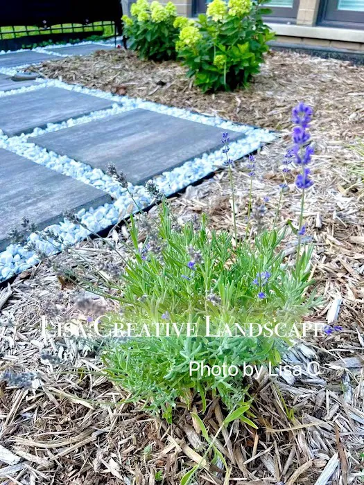 Lisa Creative Landscape LLC Picture 10