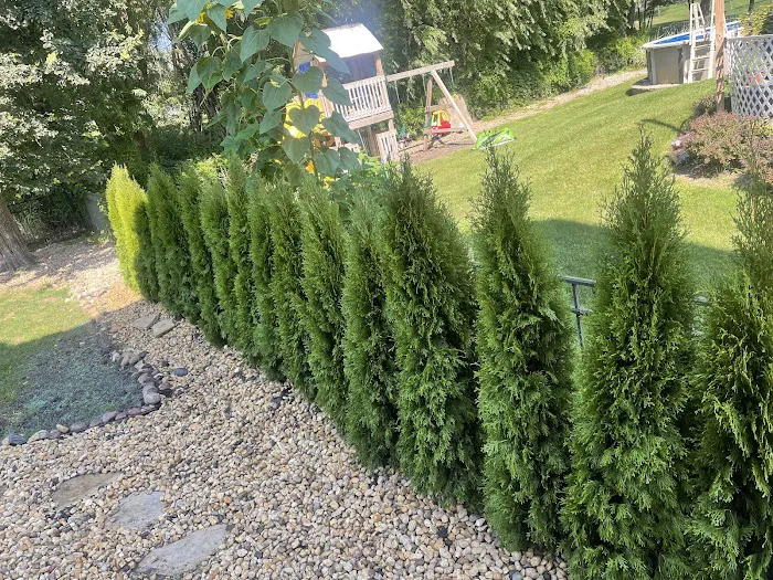 J&M Landscaping Group Picture 5