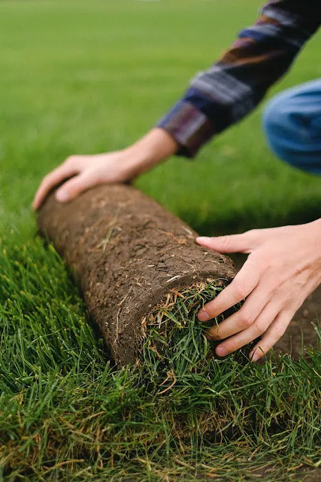 Cardo's Landscaping Picture 2