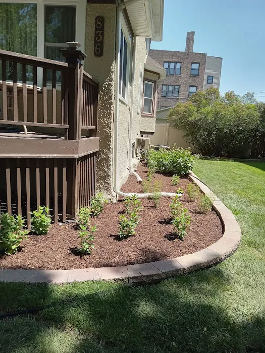 Cardo's Landscaping Picture 7