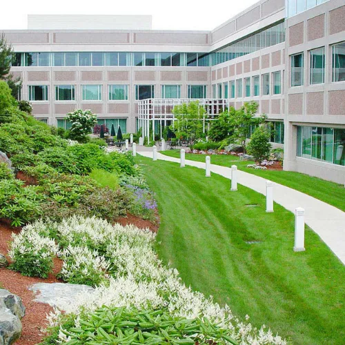 javi's landscaping Picture 10