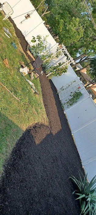 javi's landscaping Picture 6