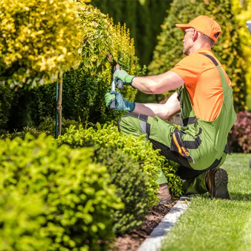 javi's landscaping Picture 8