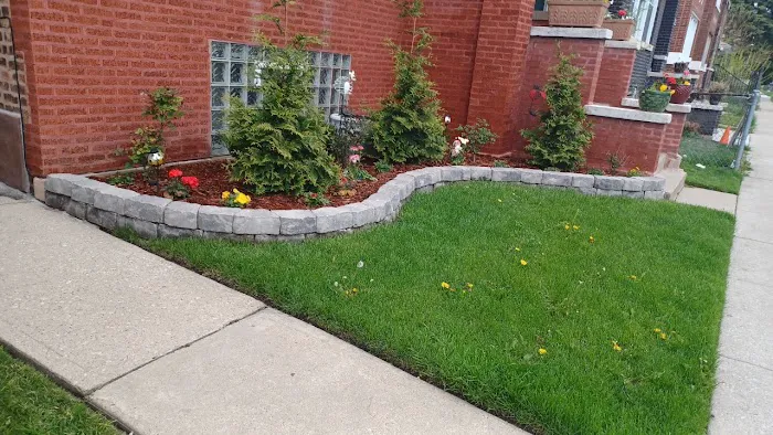 javi's landscaping Picture 7