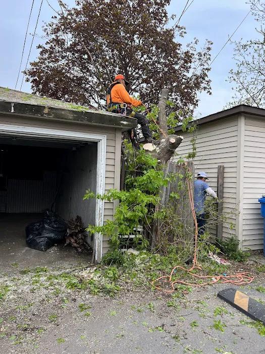 Mayco’s Landscaping Picture 7