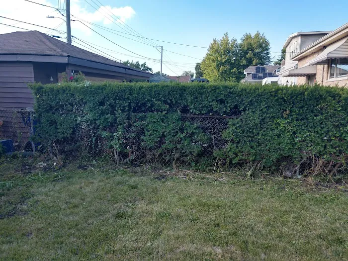 Mayco’s Landscaping Picture 3