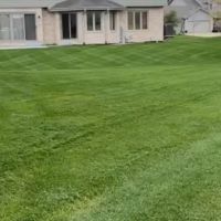 Arts Landscaping & Maintenance LLC ico