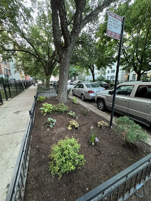 Medina Lawncare Picture 2