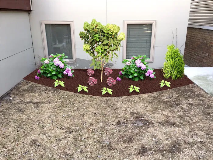 JR Landscaping Services Picture 3