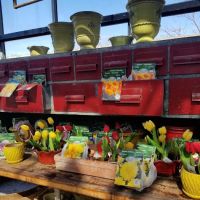 City Escape Garden Center and Design Studio ico