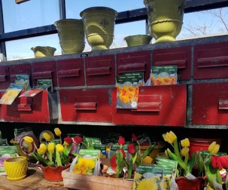 City Escape Garden Center and Design Studio