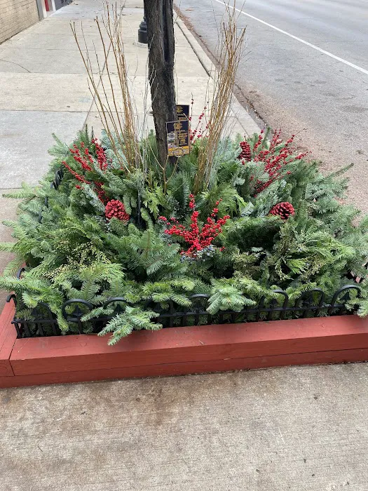 Raíces Landscapes, LLC. Picture 1