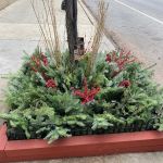 Raíces Landscapes, LLC.