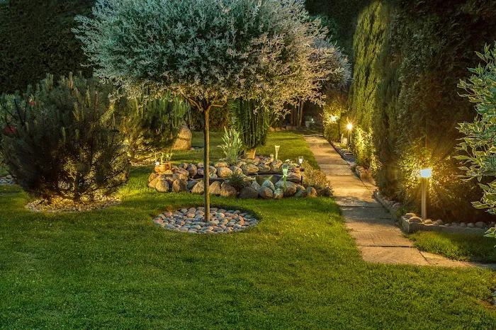 Nova Landscapers Picture 3