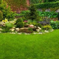 Nova Landscapers ico
