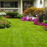 Patch Landscaping & Snow Removal