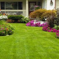 Patch Landscaping & Snow Removal ico