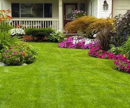 Patch Landscaping & Snow Removal
