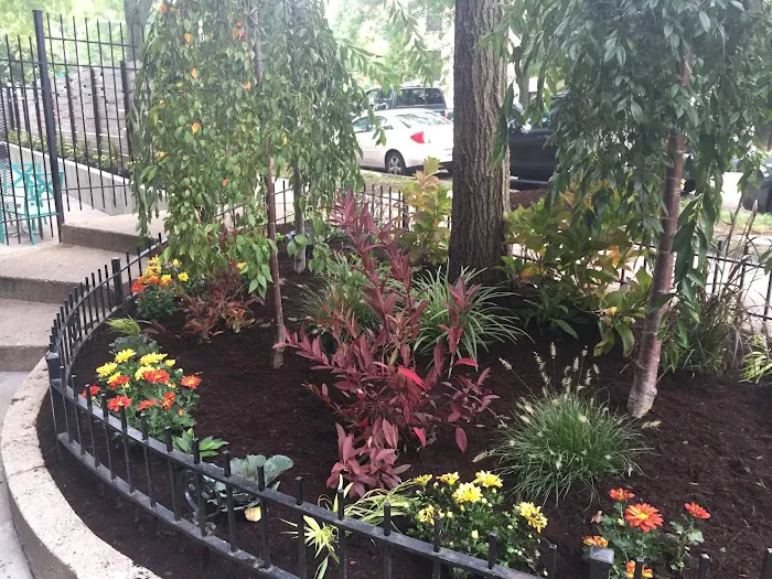 Patch Landscaping & Snow Removal Picture 7