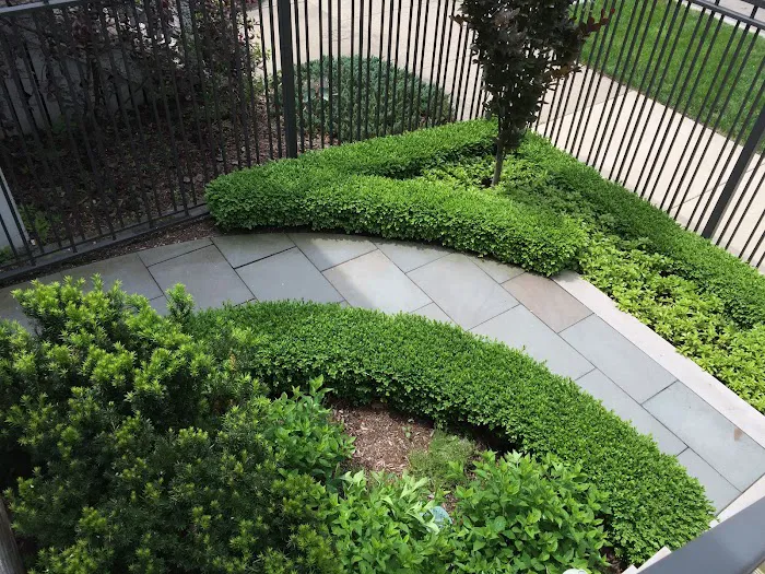 Patch Landscaping & Snow Removal Picture 8