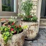 Red Fern Landscape Management