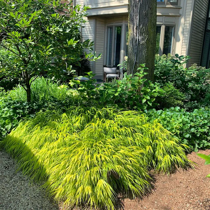 Red Fern Landscape Management Picture 6