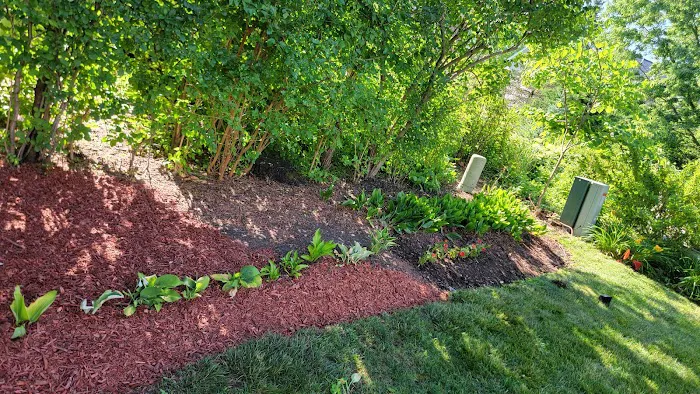 Peter & Son Landscaping LLC & snow removal services Picture 9