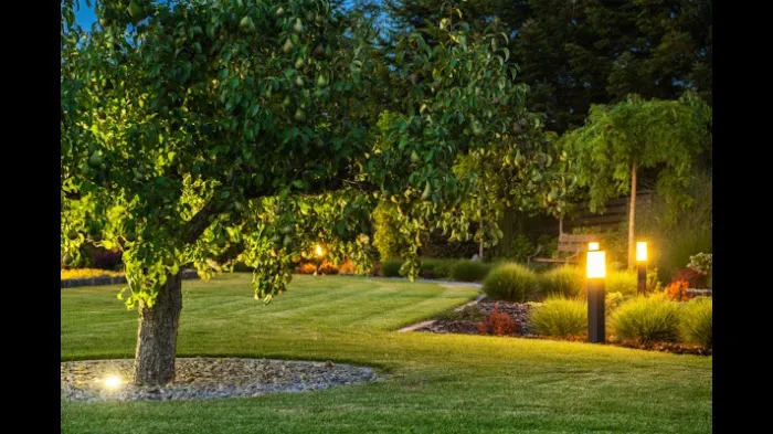 Peter & Son Landscaping LLC & snow removal services Picture 2