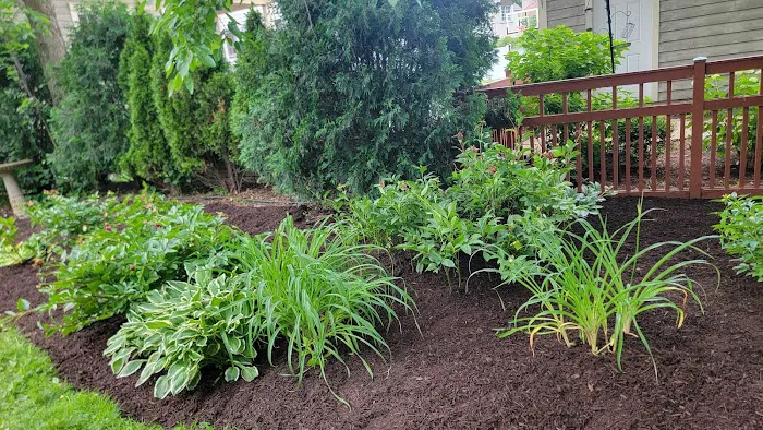Peter & Son Landscaping LLC & snow removal services Picture 5