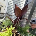 Marrufo's Landscaping