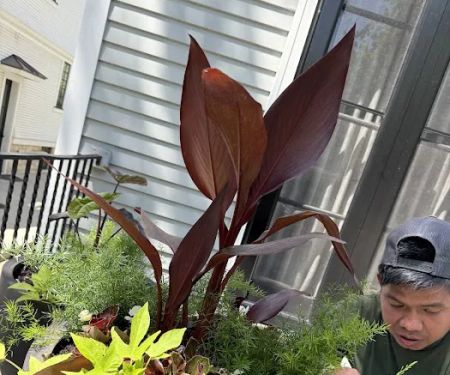 Marrufo's Landscaping